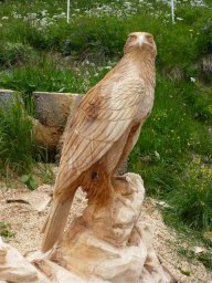 tj13-14 pferde titel oeschs 179